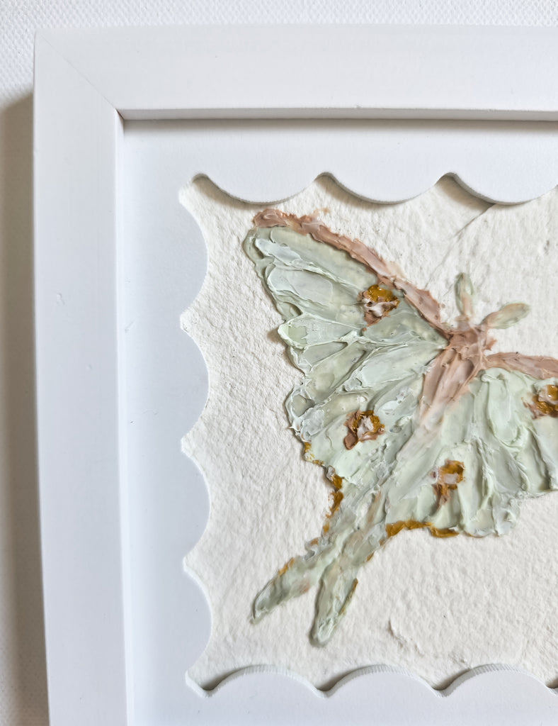 Luna Moth