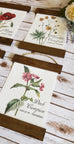Wildflower Botanical Canvas Prints