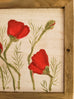 Small Poppies