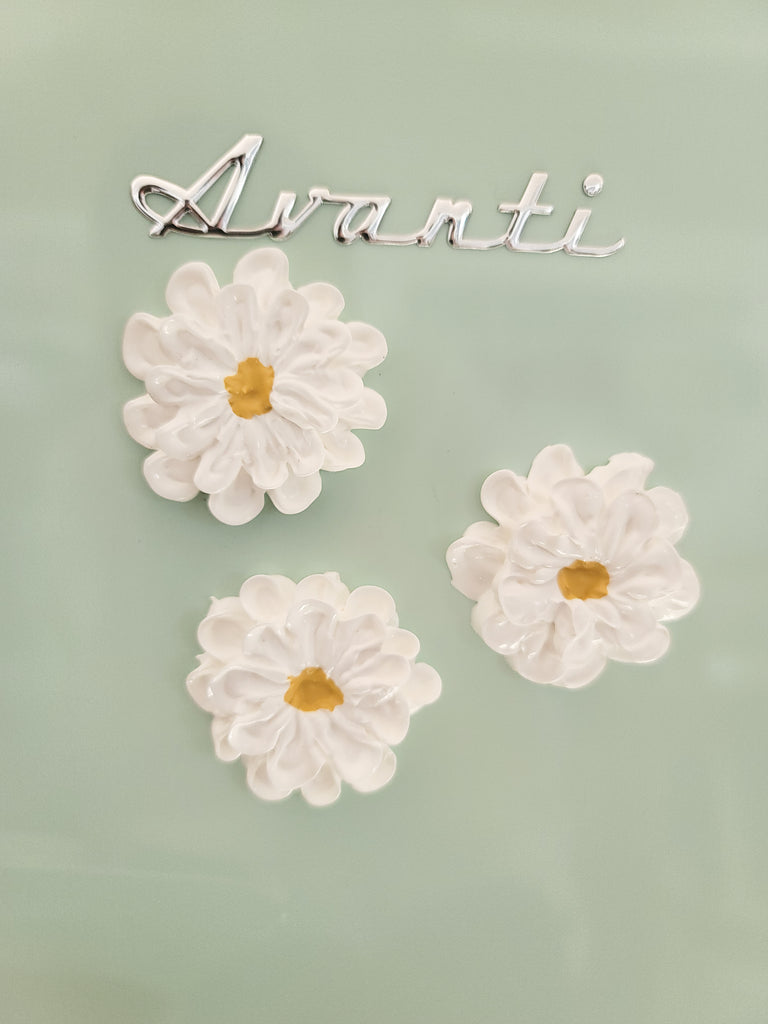 Daisy Paint Magnets