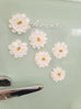 Daisy Paint Magnets