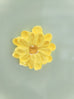 Daisy Paint Magnets