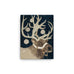 Reindeer Canvas Print