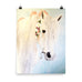 Calla Art Poster Print